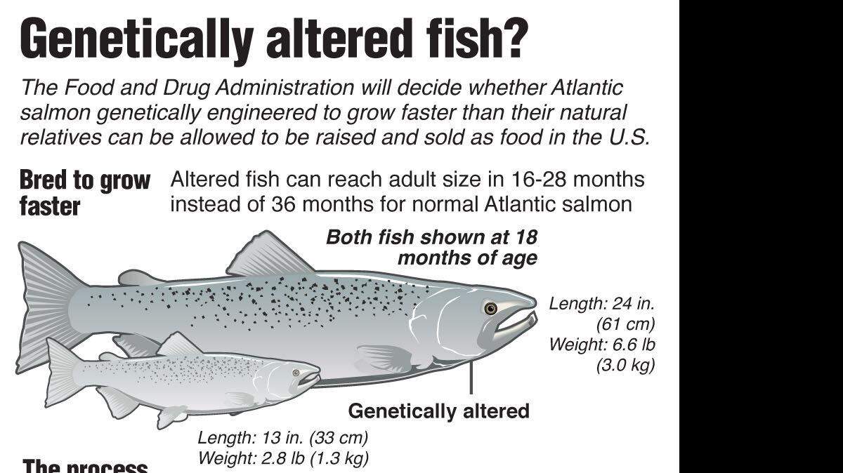 20130305 FDA SALMON