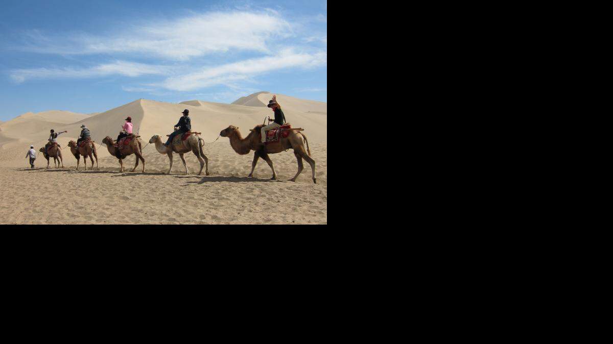 Chinese tourists ride camels across the dunes at Dunhuang, in northwestern Gansu province, China, on Aug. 30, 2014. (Stuart Leavenworth/McClatchy)
