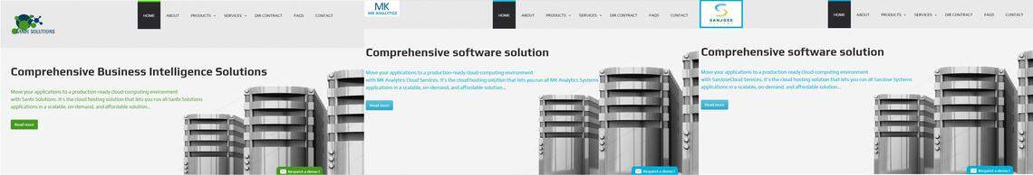 Screenshots of websites from three companies, all connected to the same Texas man, which are strikingly similar. Two of the three companies received Paycheck Protection Program loans.