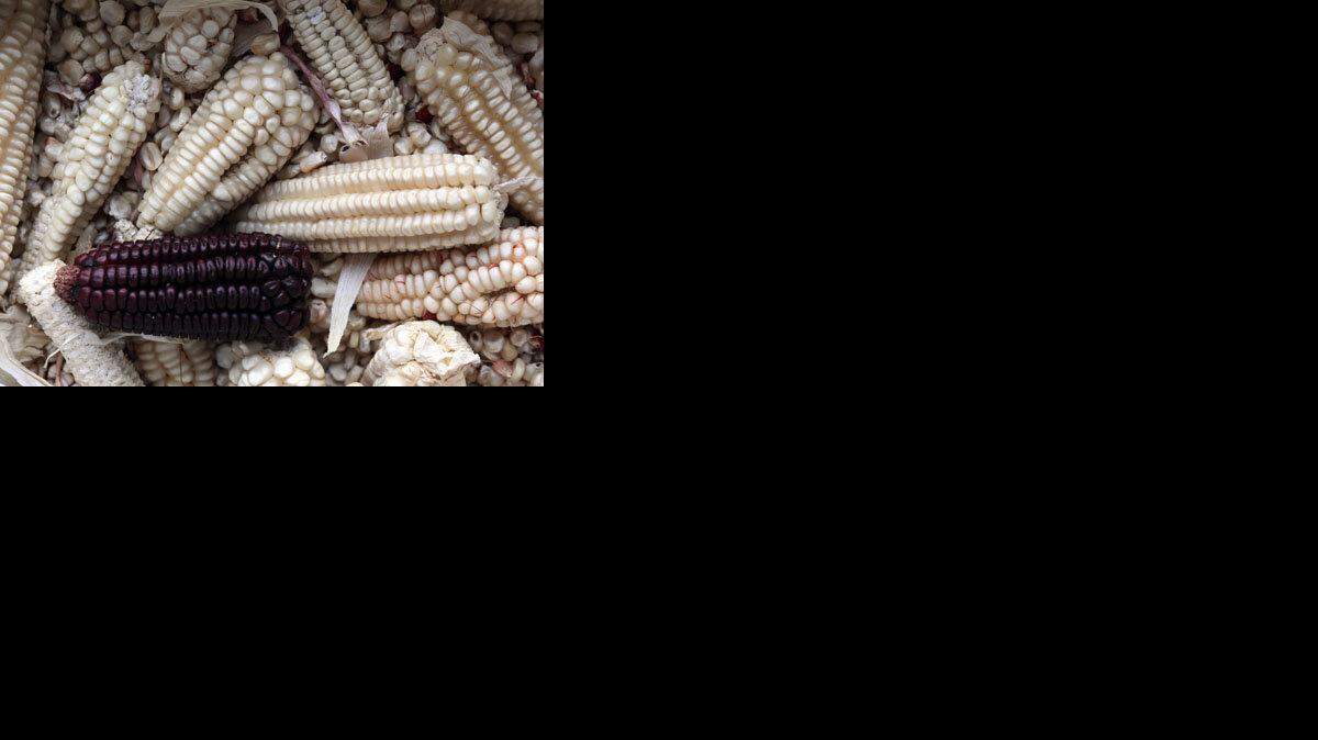 WORLD NEWS MEXICO-CORN 5 MCT