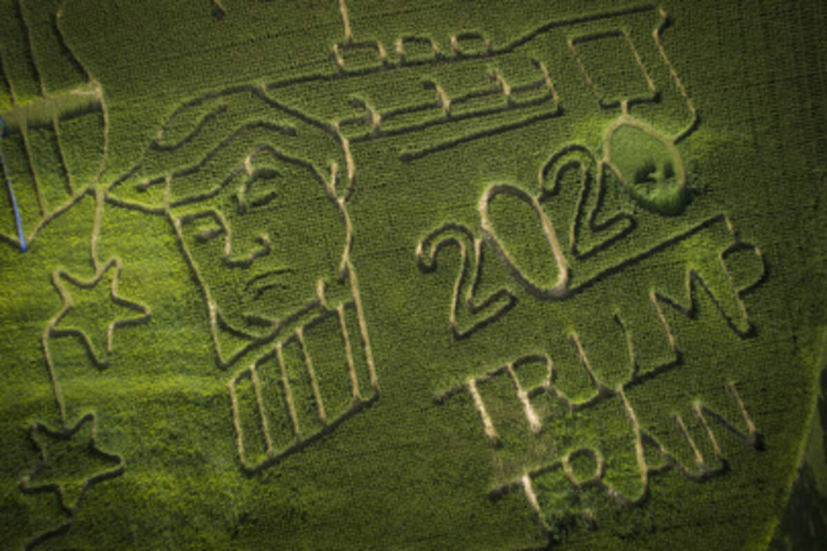 A 10-acre corn maze showing support for President Donald Trump and police officers sits at Truett Pumpkin Patch in McKee, Ky., Wednesday, Aug. 26, 2020. Owner Tim Truett has been building corn mazes on his property for eight years and shapes them according to the year’s hot topics. Truett has family members in law enforcement wanted to show support for President Trump and police with this year’s maze.