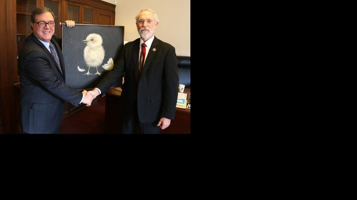 Democratic Rep. Denny Heck of Washington state (left) shakes hands with freshman Republican Rep. Dan Newhouse as he received a painting of a newly-hatched chick on Tuesday. Since the late 1970s, tradition requires each new House member from Washington state to hang the painting in their office.
