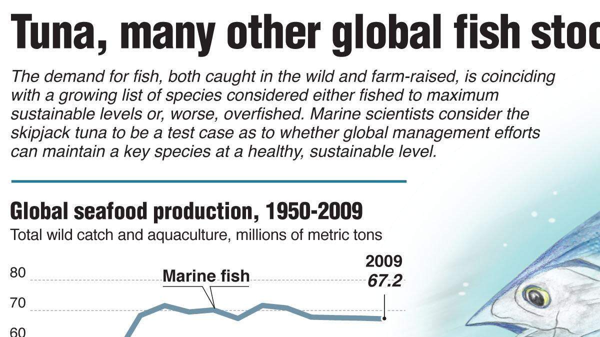 20111110 FISHERIES tuna