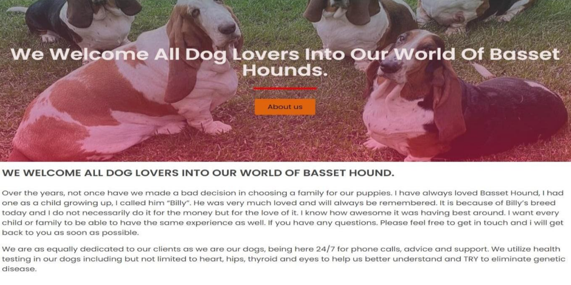 In this image, an active “puppy scam website” selling basset hounds is shown, Google says in the suit. jerrysbassethoundhome.com