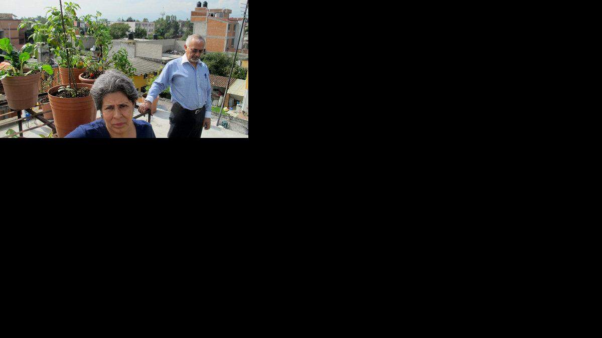 WORLD NEWS MEXICO-ROOFGARDENS 3 MCT
