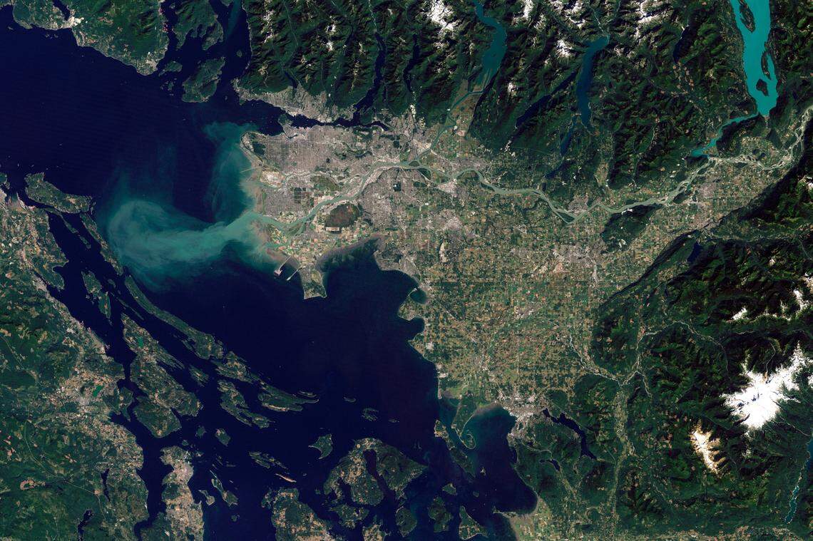 This Sept. 7, 2011, photo shows sediment spreading from the Fraser River in Vancouver, British Columbia, Canada, to the Strait of Georgia.