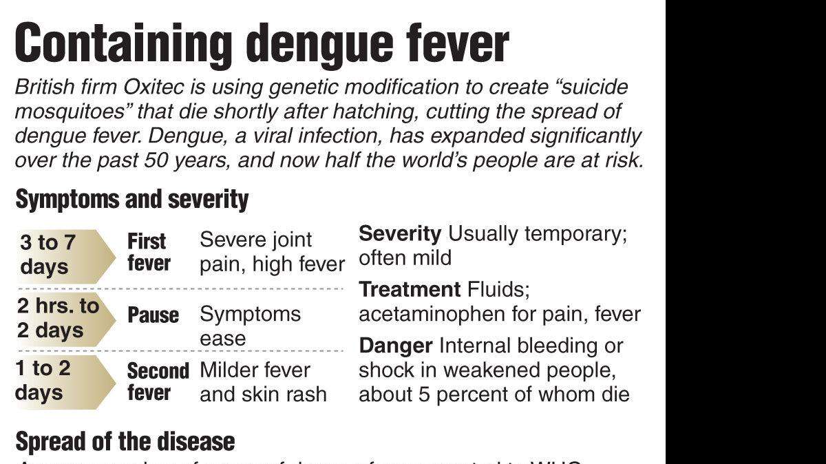20131011_MOSQUITO_dengue