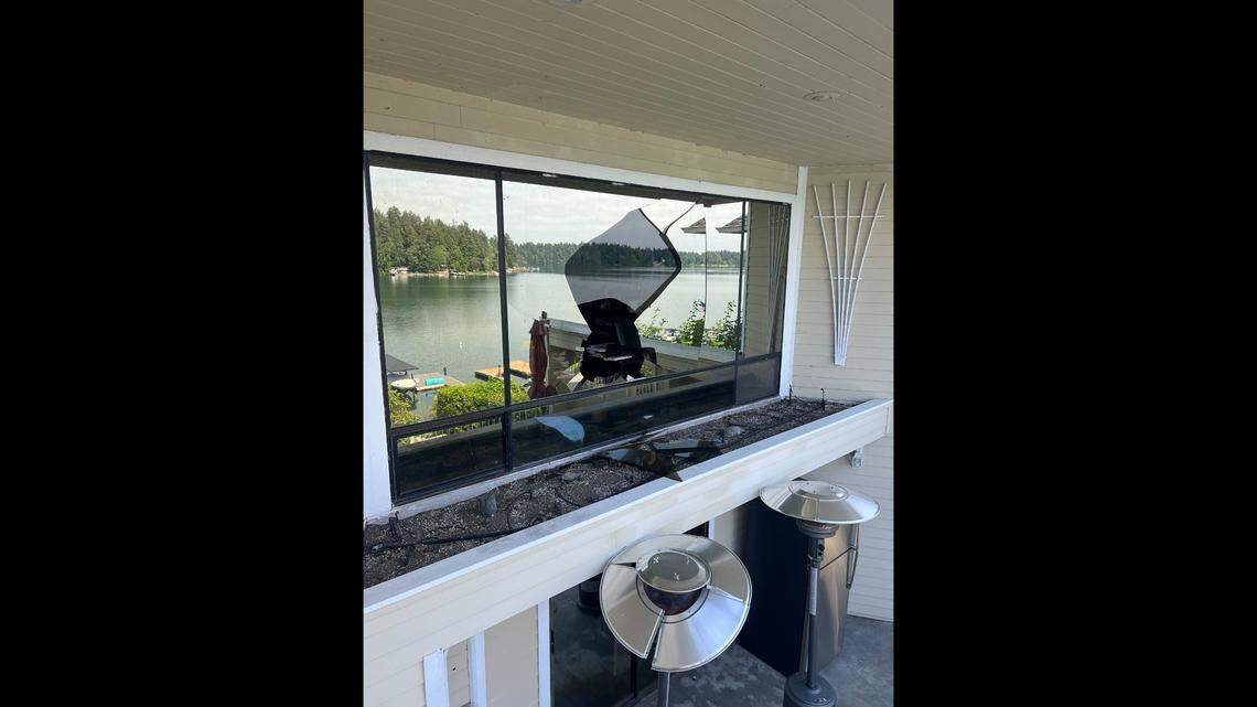 A bald eagle crashed through a reflective, double-pane window on May 16 at a home in Lakehood, Washington.