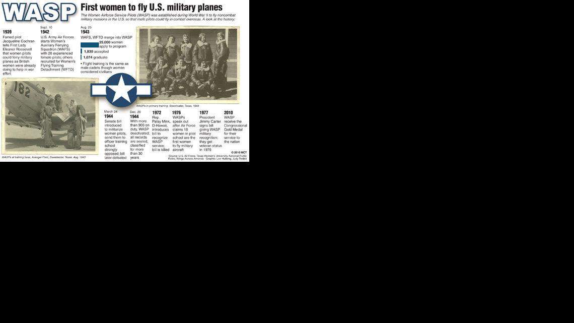 20100309 WASP history