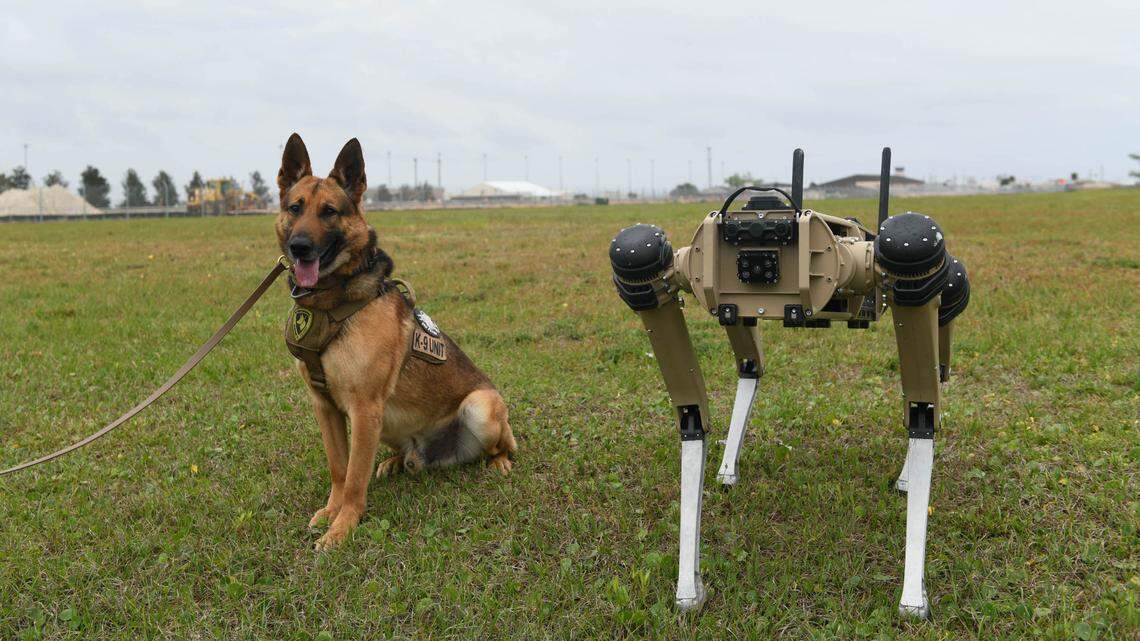 New robot dogs ‘lie down, roll over and patrol’ at Florida Air Force base