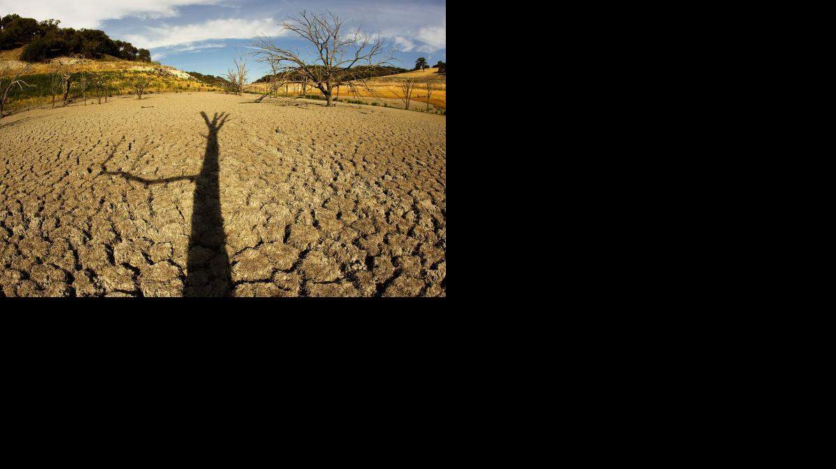 BIZ FARM-CALIFORNIADROUGHT 2 LA