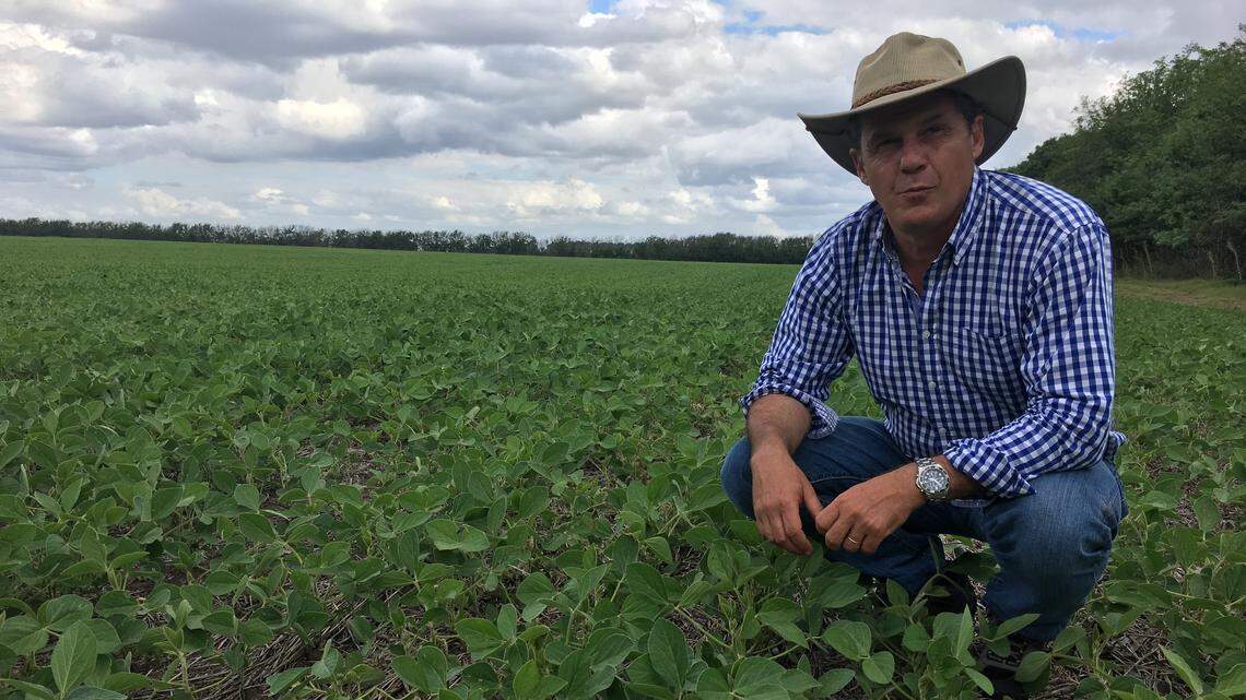 Argentine soybean farmers sow ‘green gold’ to outlast the U.S.-China trade war