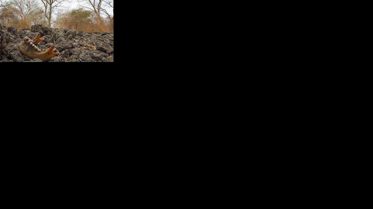 The tribal war in South Sudan's Jonglei state has left a trail of destruction behind.