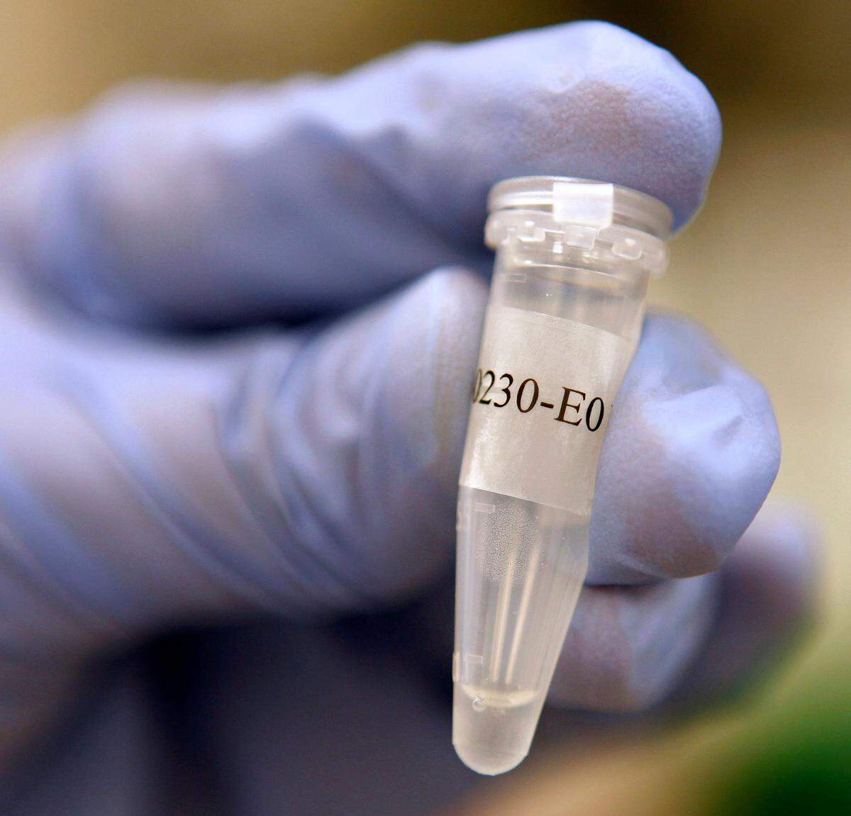 A tube of extracted DNA.