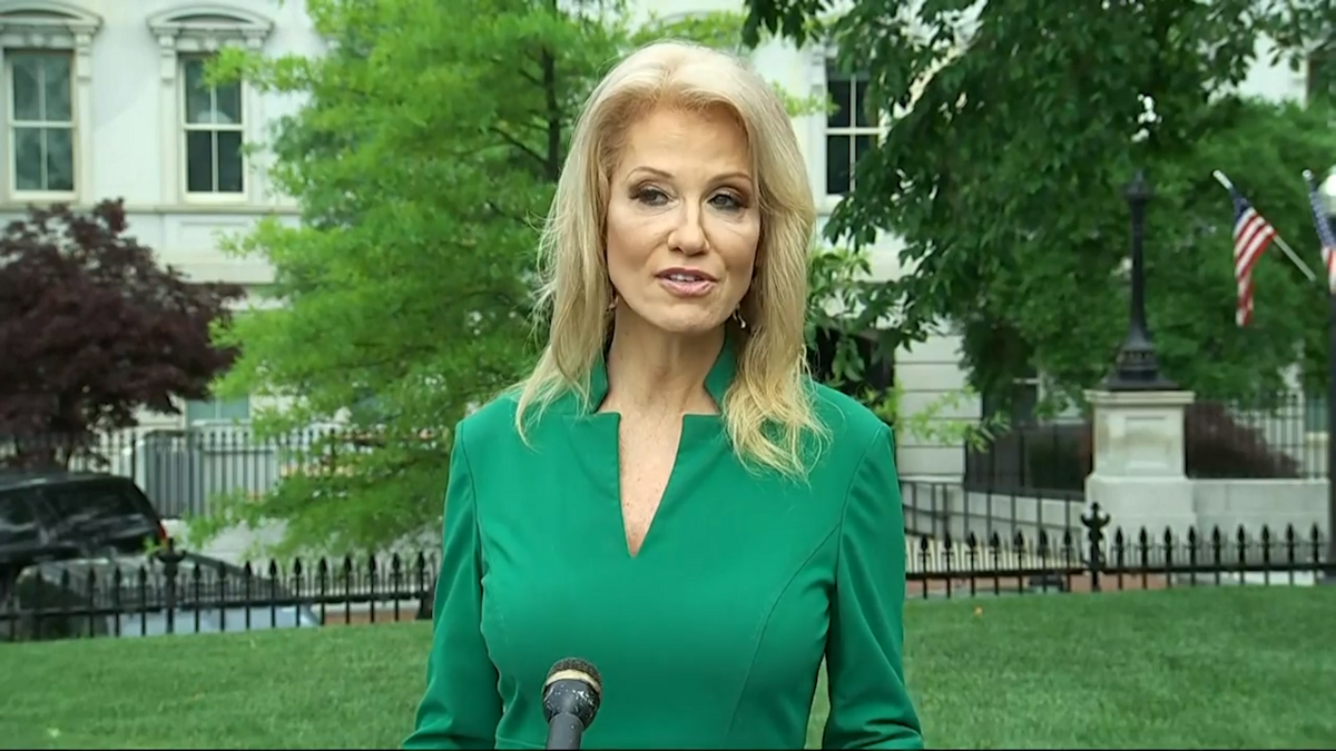 White House Counselor Kellyanne Conway speaks to reporters about in-person voting on May 27, 2020.