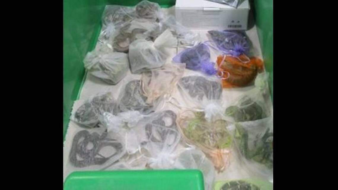 A 30-year-old California man found with dozens of reptiles hidden in his clothes — with some stuffed in his pants — has now ​pleaded guilty after he was accused of smuggling 1,700 of the ​critters into the United States, feds say