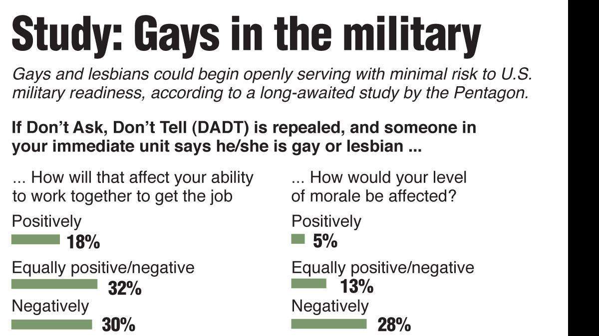 20101130 MILITARY GAYS
