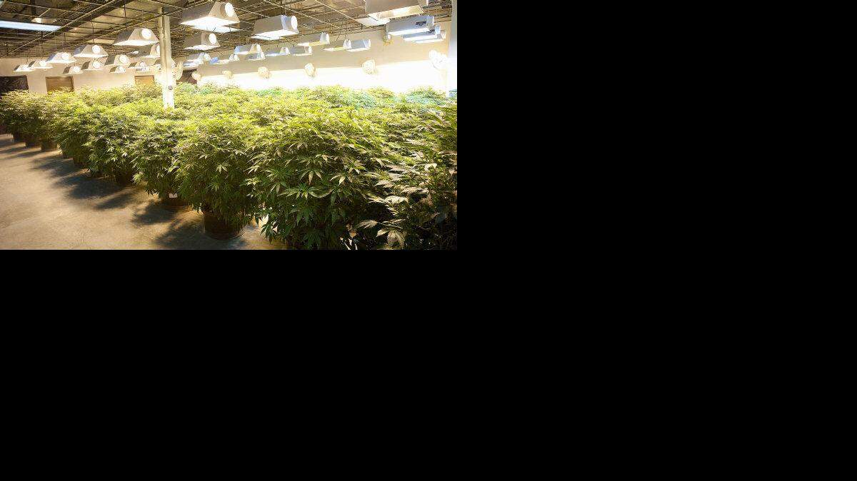 US NEWS MARIJUANA-RESOURCES SE
