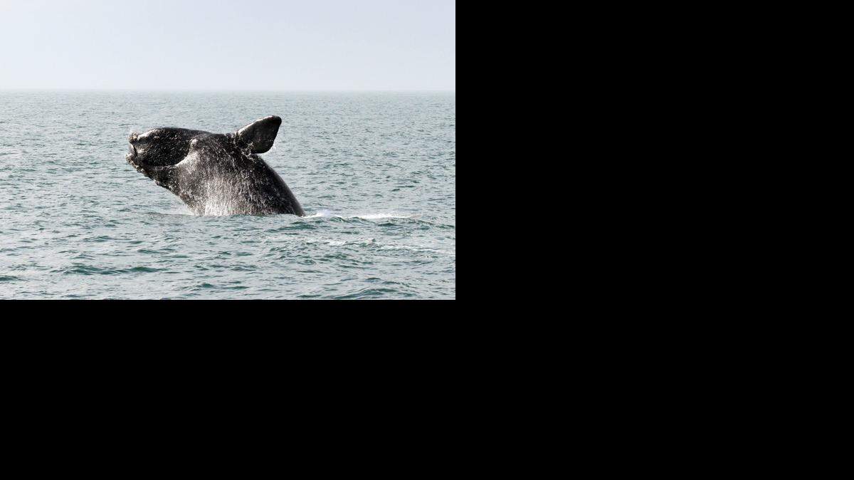 US NEWS ATLANTIC-OIL 2 MCT