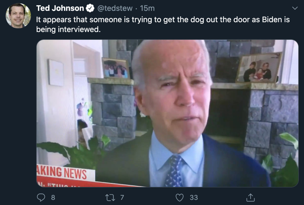A dog appears in the background as Joe Biden gives an interview on TV