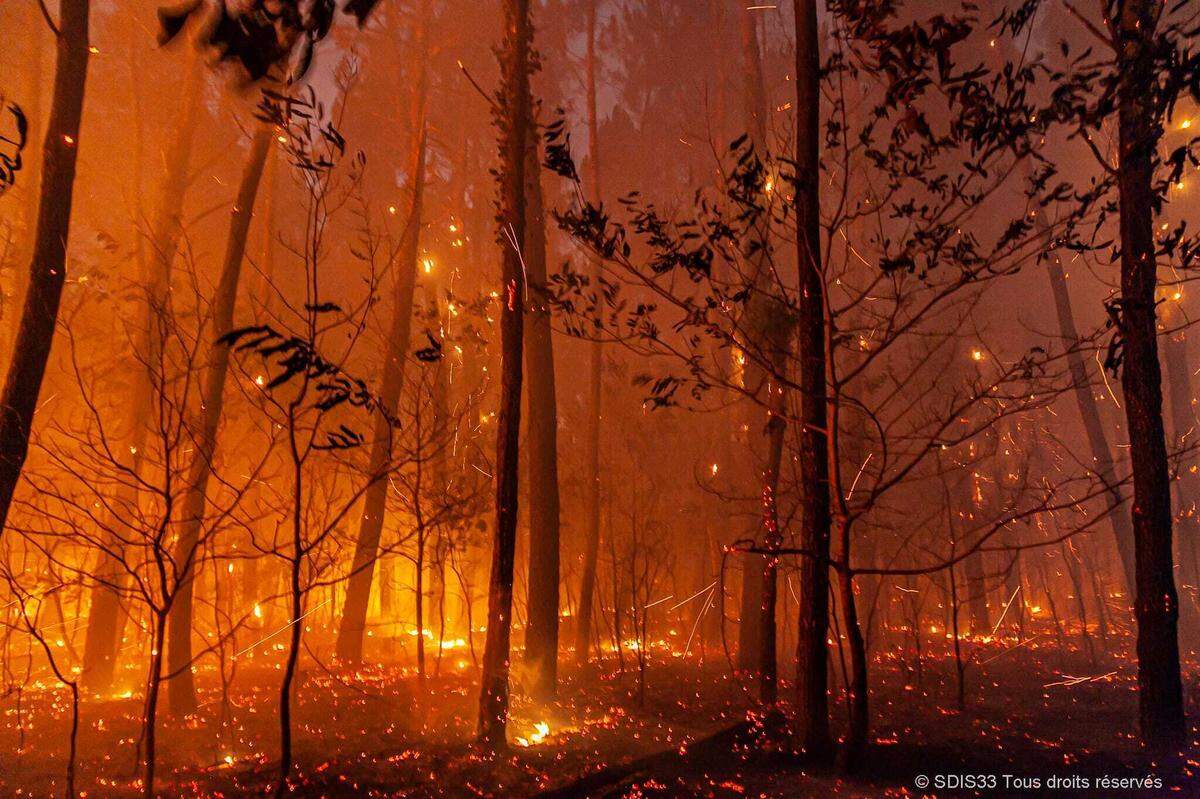 This photo provided by the fire brigade of the Gironde region (SDIS 33) shows a wildfire near Landiras, southwestern France, Sunday July 17, 2022 . Firefighters battled wildfires raging out of control in France and Spain on Sunday as Europe wilted under an unusually extreme heat wave that authorities in Madrid blamed for hundreds of deaths. (SDIS 33 via AP)