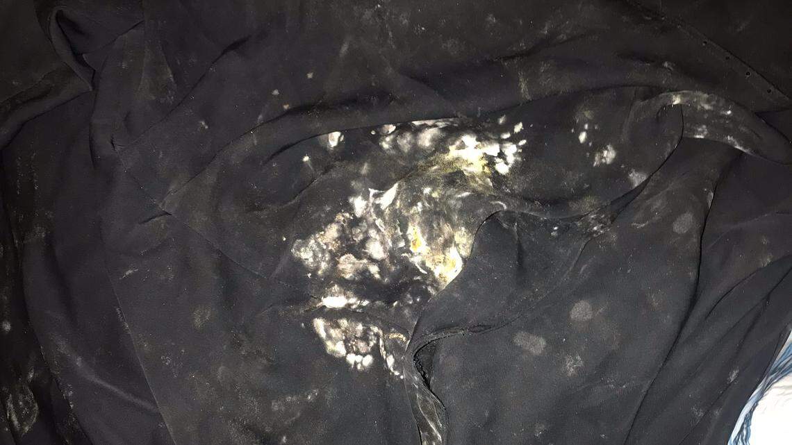 Attorney Cheryl Bormann, representing an alleged 9/11 plotter, said she returned to  the U.S. Navy base at Guantánamo Bay, Cuba, on Nov. 10, 2018 to find her team’s office caked in mold on “the files, the carpet, all of the furniture,” and also on the black traditional Muslim abayas she wears to court in consideration of her client’s cultural sensitivity. Lawyers were prohibited from sharing photographs of the moldy offices because that part of the makeshift war court complex built on nan abandoned airfield is rated Top Secret.