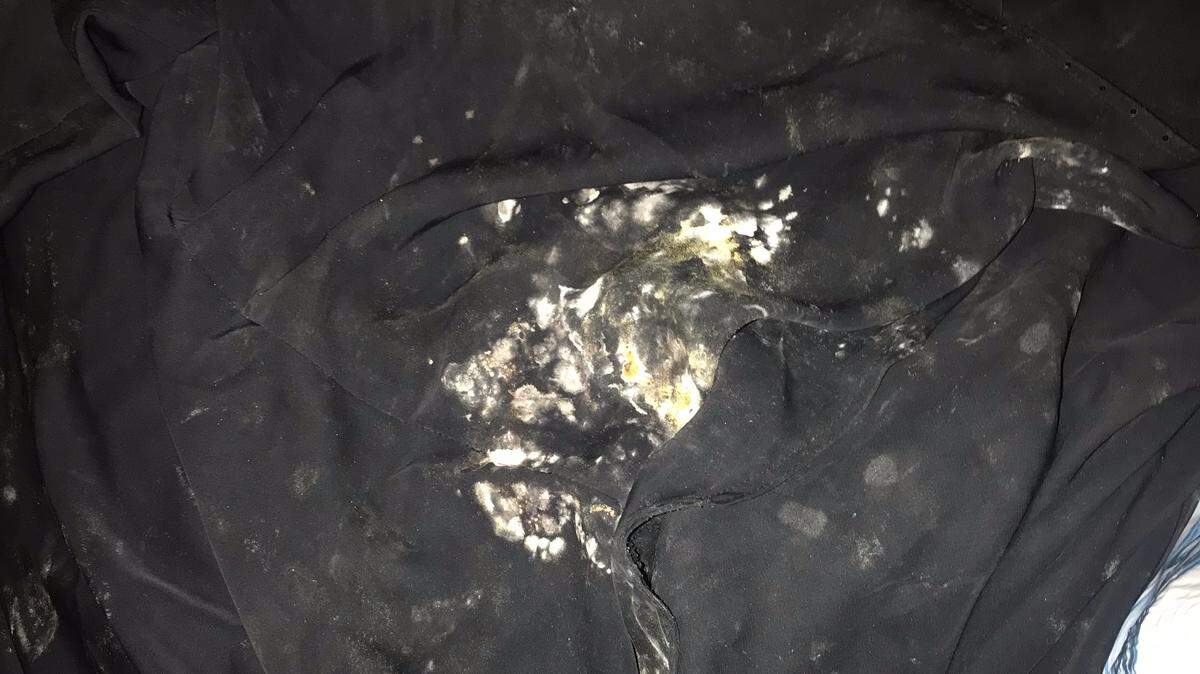 Attorney Cheryl Bormann, representing an alleged 9/11 plotter, said she returned to  the U.S. Navy base at Guantánamo Bay, Cuba, on Nov. 10, 2018 to find her team’s office caked in mold on “the files, the carpet, all of the furniture,” and also on the black traditional Muslim abayas she wears to court in consideration of her client’s cultural sensitivity. Lawyers were prohibited from sharing photographs of the moldy offices because that part of the makeshift war court complex built on nan abandoned airfield is rated Top Secret.