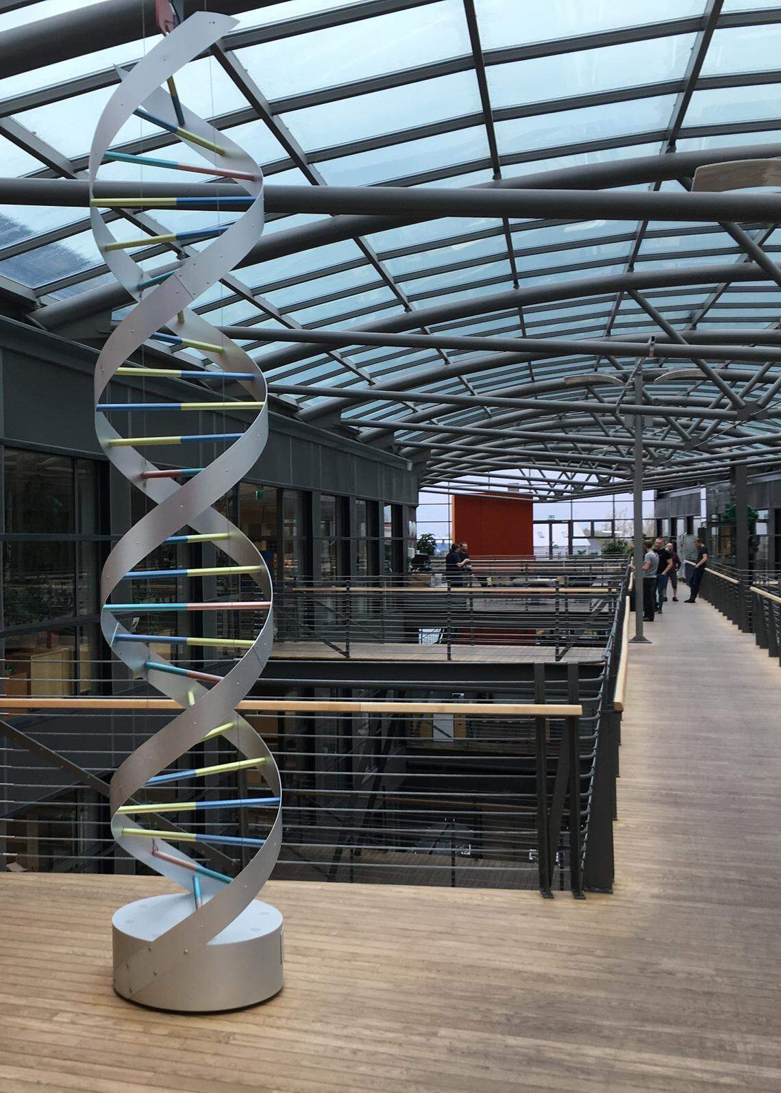 A double helix sculpture is displayed at the headquarters of deCODE Genetics in Reykjavík, Iceland on May 22, 2018. The biotech company is at the center of controversies over DNA databases in Iceland.