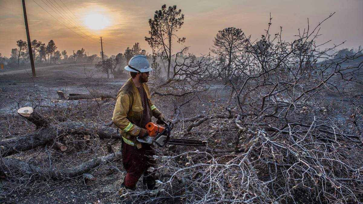 Eyler Harrison of Grass Valley, a contractor for Cal Fire, cuts down dead trees amid the charred landscape of the Camp Fire, in Paradise, Cal, on Monday, Nov. 19, 2018. A new government report affirms that western wildfires will intensify as climate change brings longer dry spell and irregular precipitation to California and other states in the region.