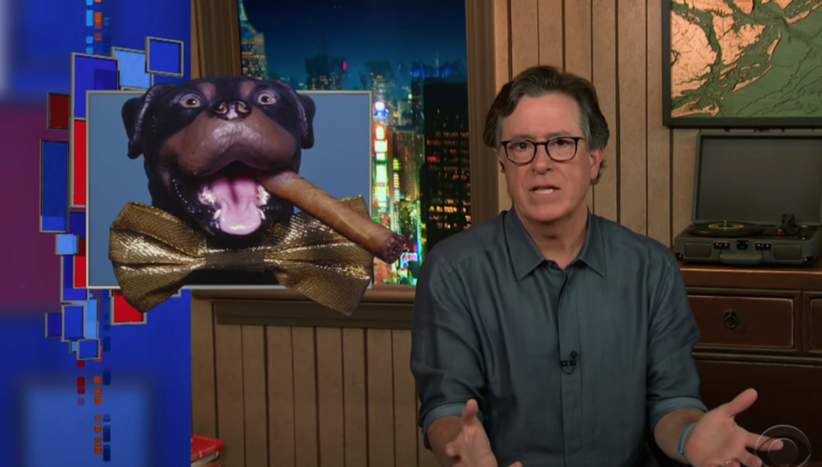 Triumph the Insult Comic Dog