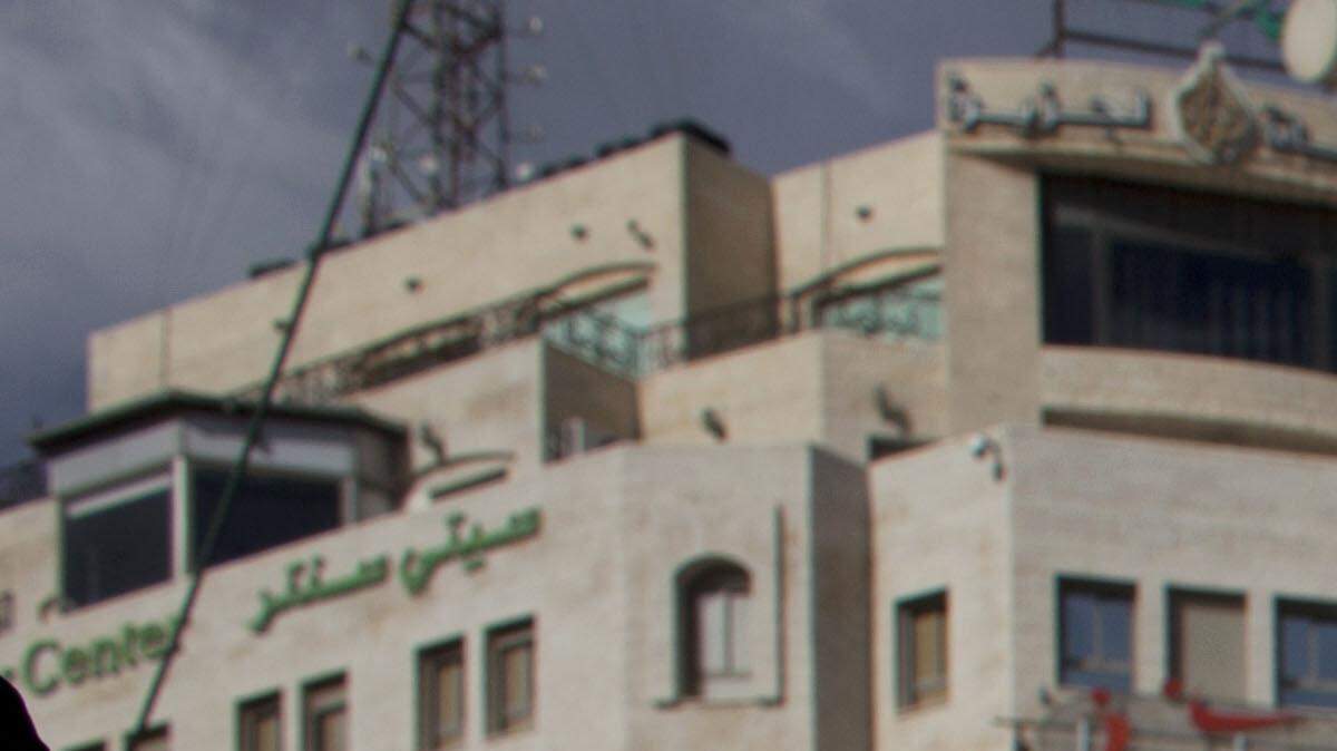 Mideast Palestinians Syria
