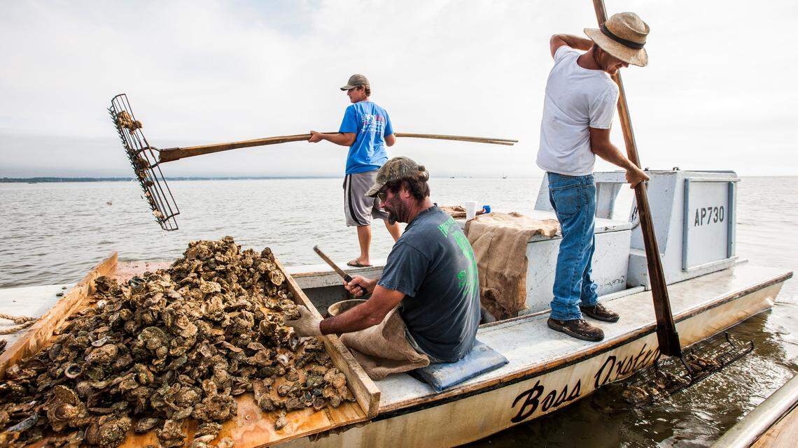 John Stokes, center, culls Apalachicola oysters while his two sons Ryan, left, and Wesley Stokes tong the bi-valves from the bottom of Apalachicola Bay near Eastpoint, Fla., in this April 2, 2015 file photo.  Florida and Georgia have been fighting over water that feeds the Apalachicola for decades, and the U.S. Supreme Court issued a key ruling today on the dispute.