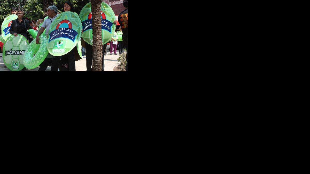 Activists hold posters that look like turtle shells in 2009 in Mexico City on behalf of the Ecologist Green Party of Mexico.