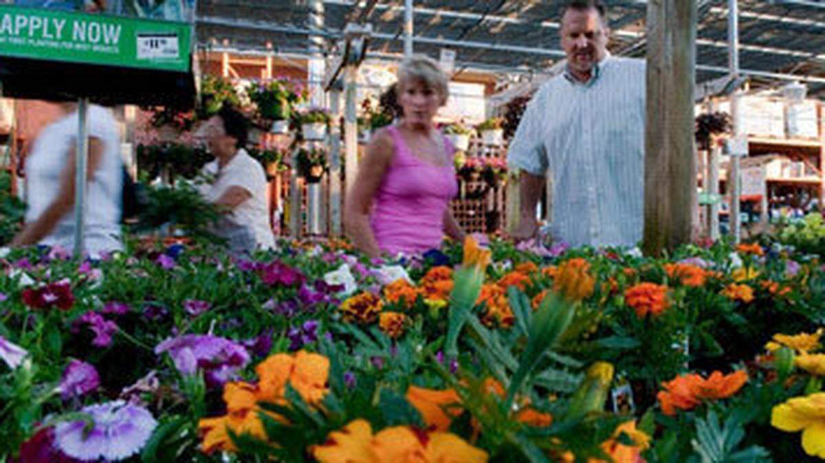 Before purchasing that plant marked “new,” be sure to do your research, and see where the plant was cultivated. Ask an Extension agent for more information if you have questions on where to plant. It may have been cultivated in another zone.