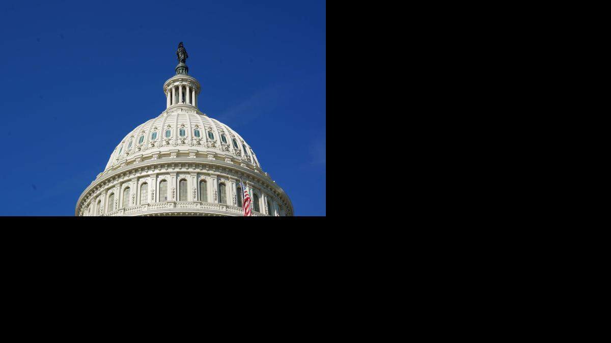  The U.S. Capitol dome, October 1, 2013. (Tish Wells/MCT)
