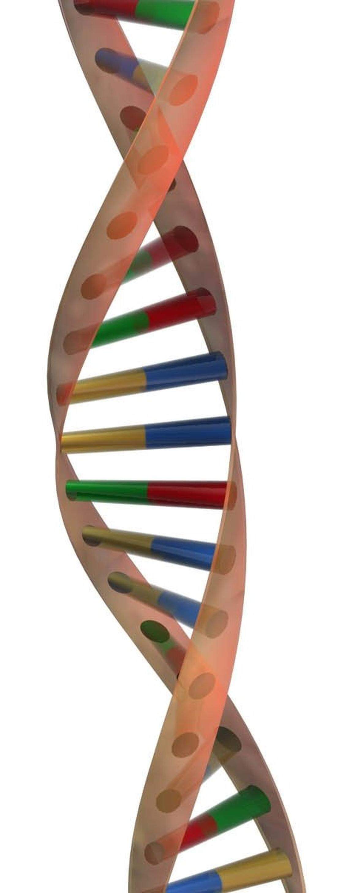 300 dpi 3 col x 4 in / 136x102mm / 1610 x 1207 pixels__Shows images of DNA strands.