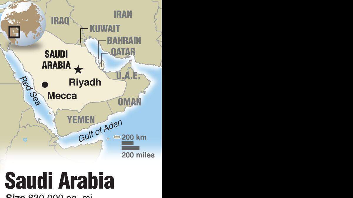 20110310 Saudi facts