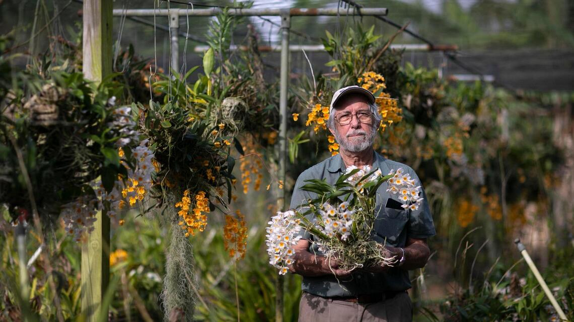 Florida horticulturists have plants robust and ready. The market is wilting
