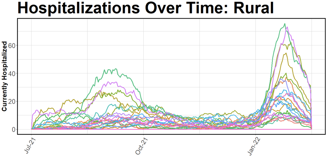 A statistical model projecting hospitalizations from COVID-19 produced by COVSIM. Each line represents one of 23 rural counties in North Carolina.