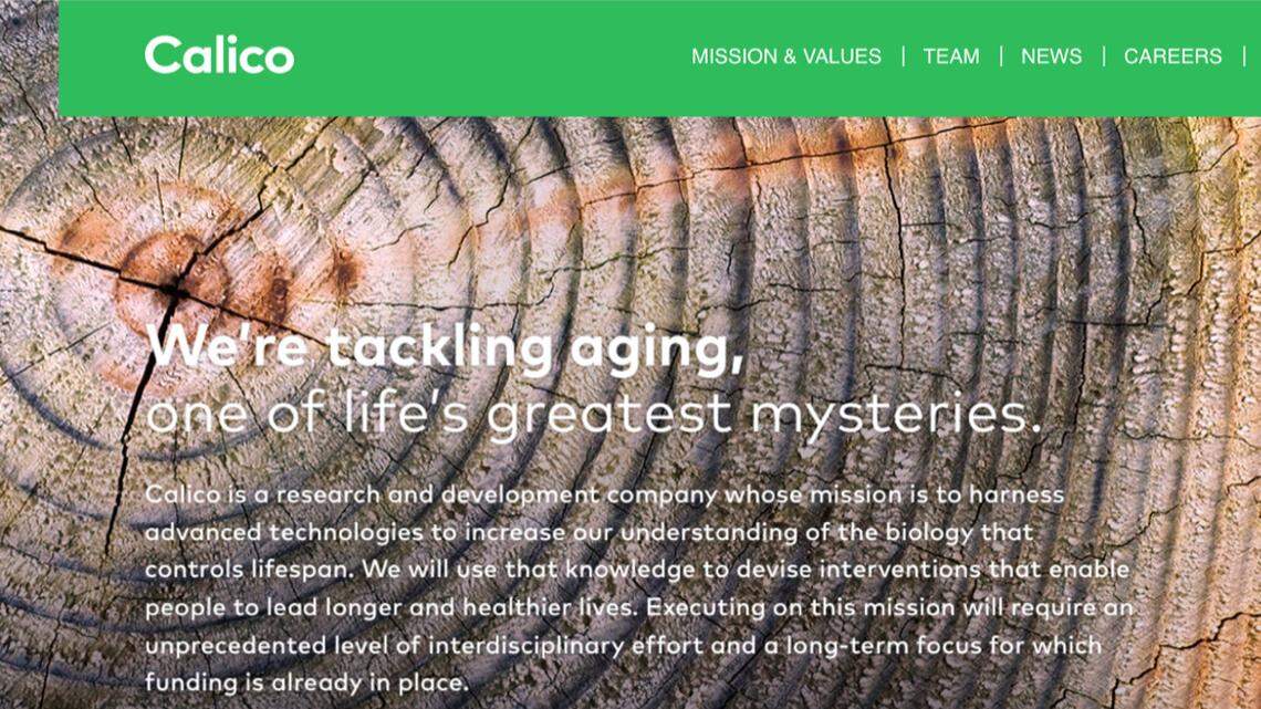 Who is the secretive Google offshoot that has access to Ancestry’s DNA database?