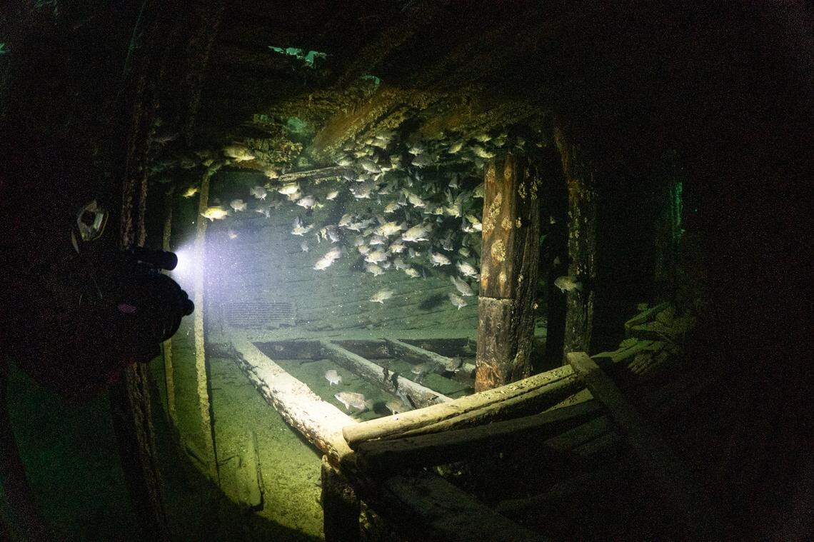 A school of fish swimming in the bow of the ship.