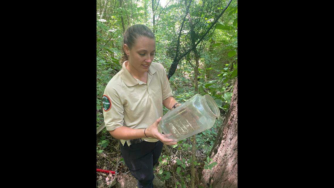 In this picture, the plastic food container that was stuck on a cub’s head is shown.