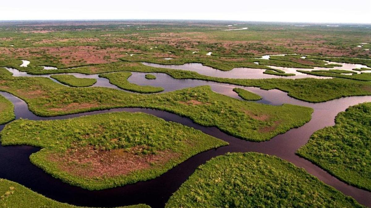 Two weeks before he was elected president, Donald Trump vowed during a speech at the Collier County Fairgrounds to “restore and protect the beautiful Everglades.”
