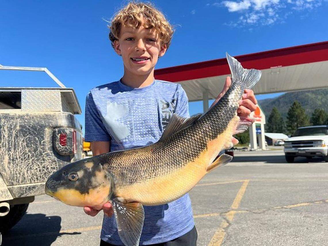 Wade Merschat, 12, is seen holding his record-breaking catch.