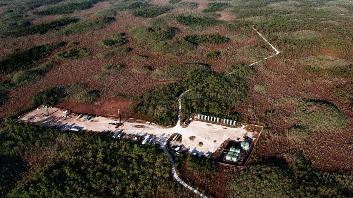 Oil pads in the Big Cypress National Preserve have been controversial since the Florida preserve was created in 1974, with oil exploration allowed under the authorizing legislation. Critics say the pads and access roads mar the landscape and pose a threat to wildlife.