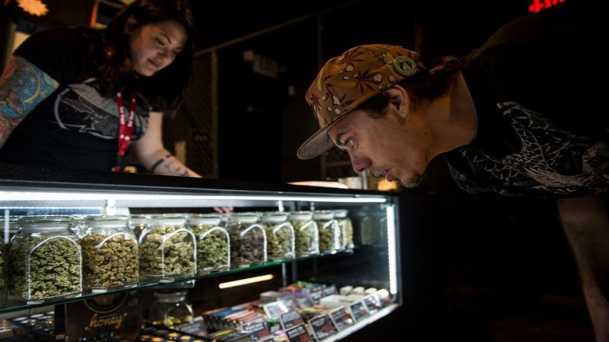 A customer browses products in February at the Orange County Cannabis Club, a medical pot dispensary in Santa Ana. California voters legalized marijuana for recreational use Nov. 8, but it could be months before the state has regulations in place for legal retail sales.