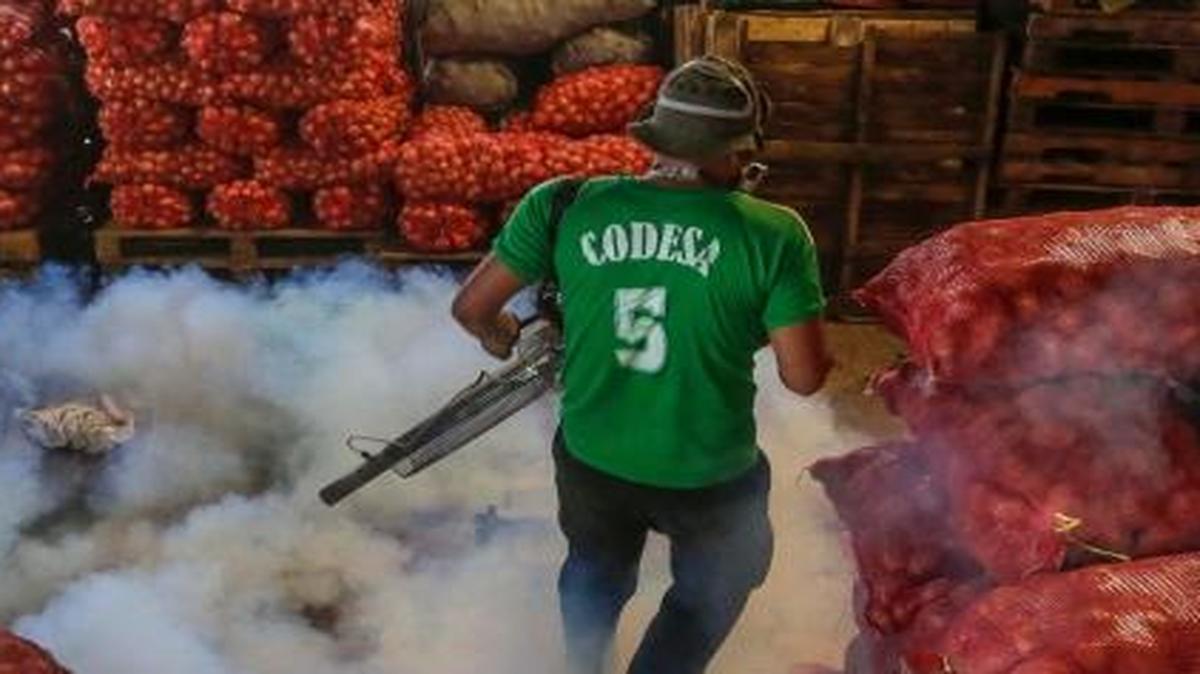 A Health Ministry worker fumigates for the Aedes aegypti mosquitoes at the Oriental Market in Managua, Nicaragua. On Tuesday, the Nicaraguan government reported 15 people have become infected with the Zika virus, including the first two pregnant women.
