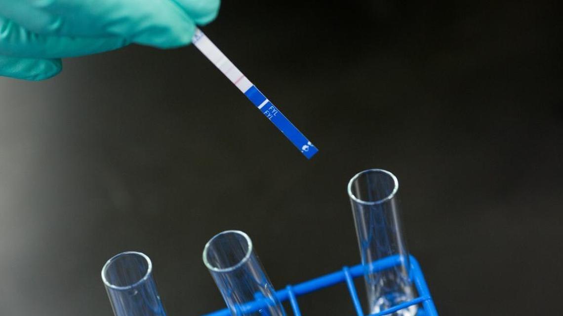 A lab technician demonstrates the use of fentanyl testing strips at the Rhode Island Department of Health Laboratory in Providence, Rhode Island, January 10, 2018.