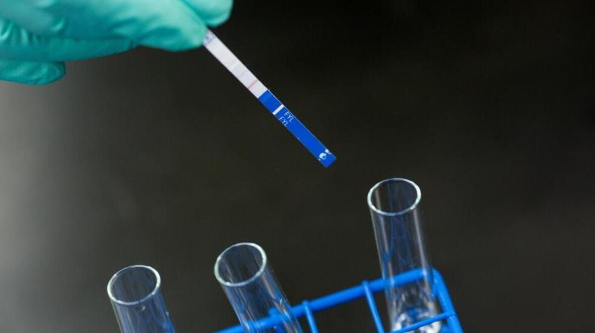 A lab technician demonstrates the use of fentanyl testing strips at the Rhode Island Department of Health Laboratory in Providence, Rhode Island, January 10, 2018.