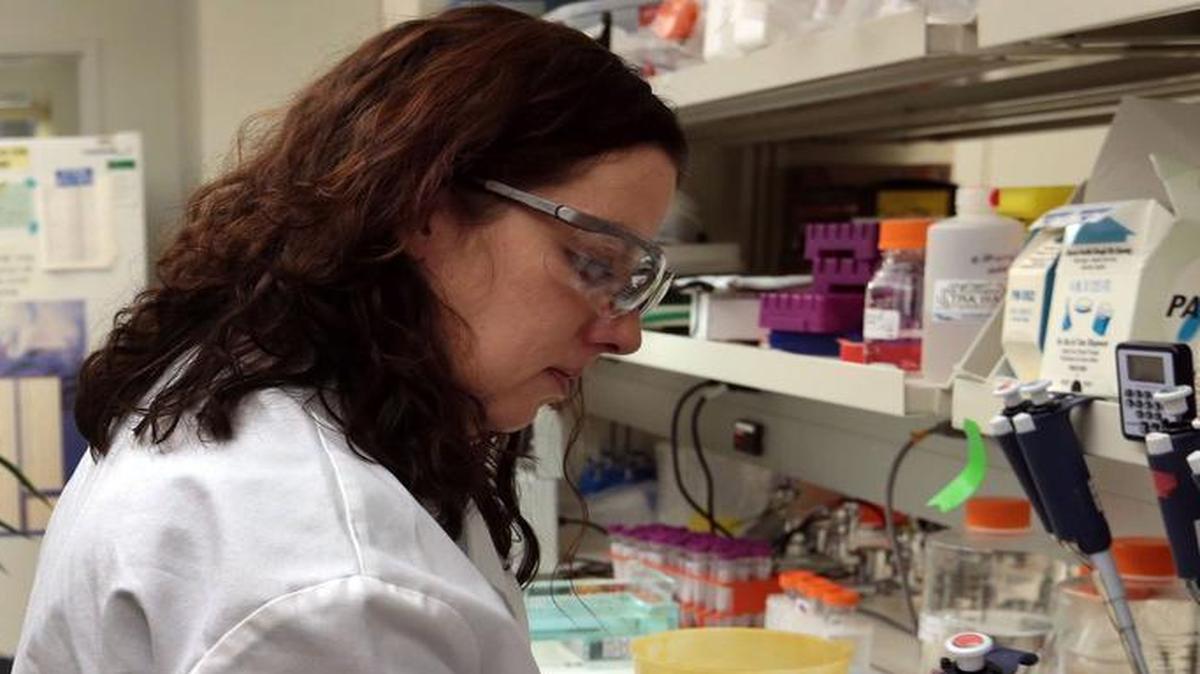 
Research Assistant Erin Hall extracts DNA from wheat for Monsanto, an agrochemical company using breeding and genetic modification to create herbicide-resistant crops, at its Chesterfield Village Research Center near St. Louis, Mo., Jan. 8. 2015. A fierce food fight has erupted in Congress over the labeling of genetically modified crops.
